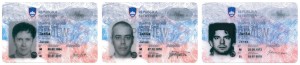 id_cards_grid